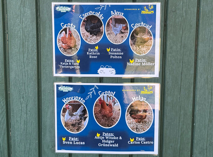 Zwei Informationsschilder mit Bildern und Namen verschiedener Hühnerarten an einer grünen Holzwand.